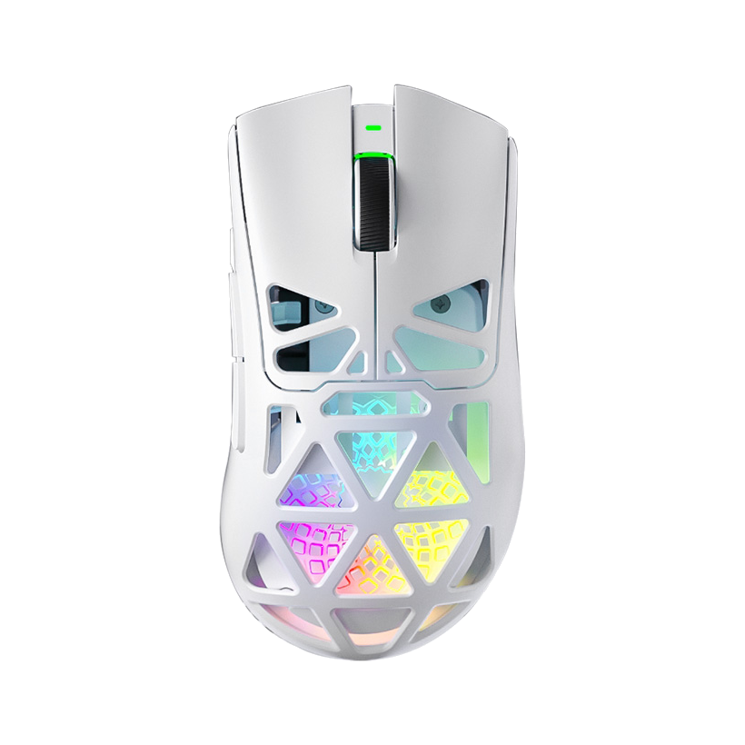 AULA SC620